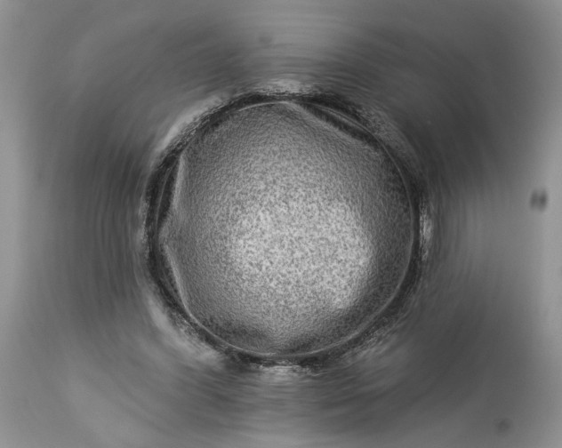 X0000114210396200910231411