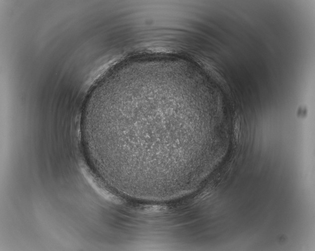 X0000114210398200910231411