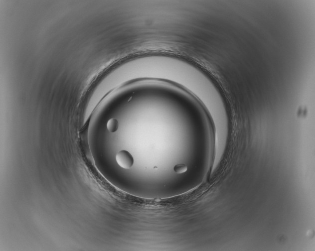 X0000114210399200910231411