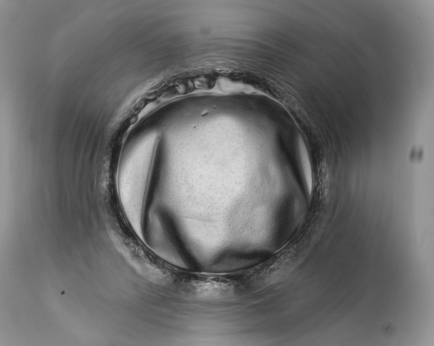 X0000114210400200910231411