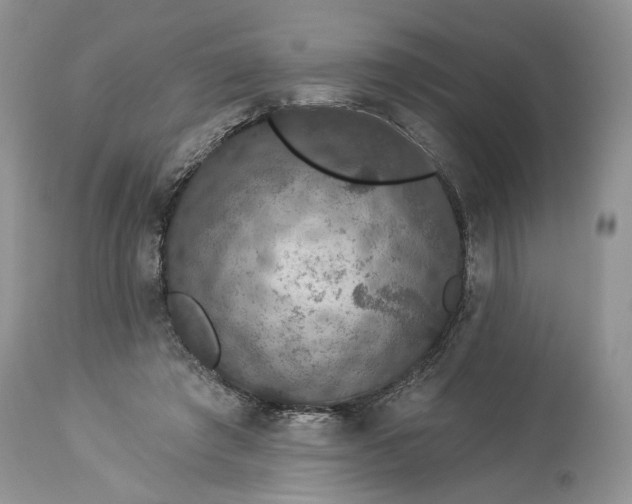 X0000114210401200910231411