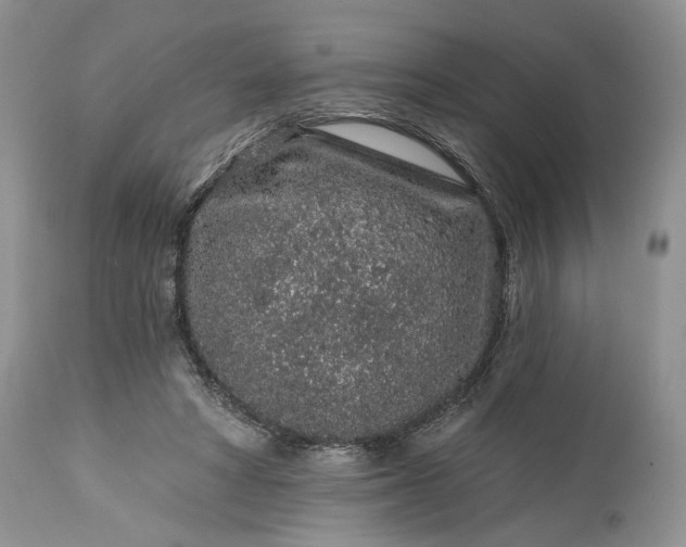 X0000114210402200910231411