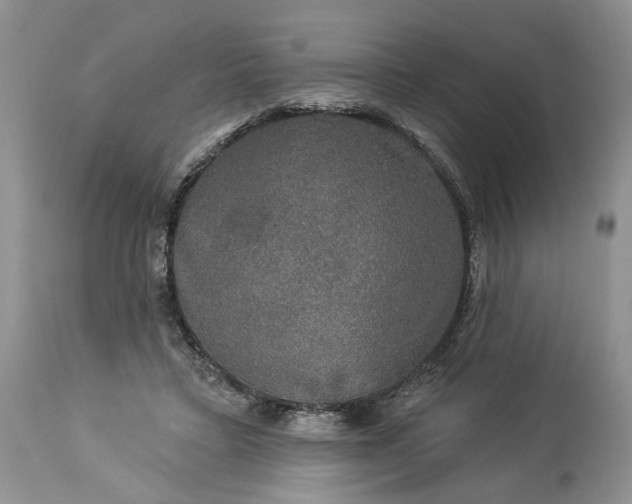 X0000114210403200910231411