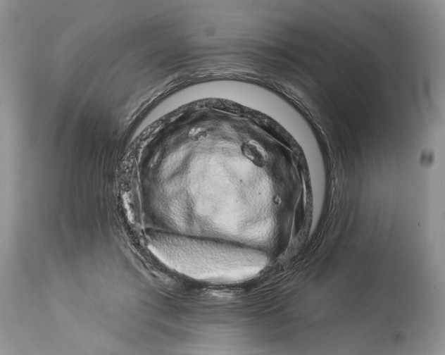 X0000114210405200910231411