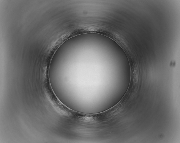 X0000114210406200910231411