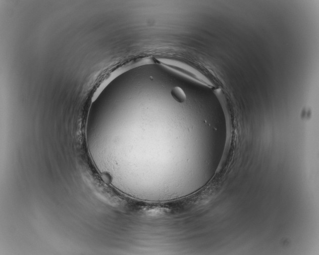 X0000114210407200910231411