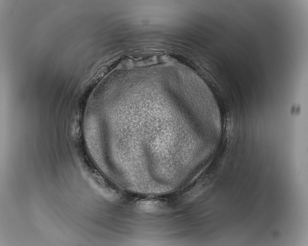 X0000114210408200910231411