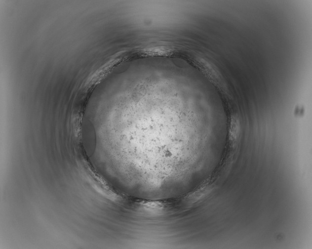 X0000114210409200910231411