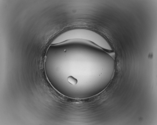 X0000114210411200910231411