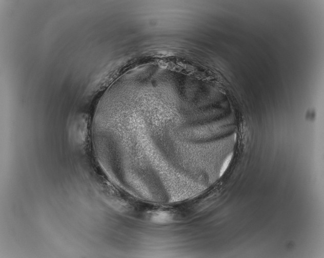 X0000114210412200910231411