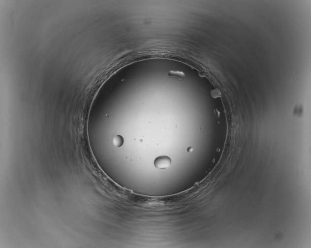 X0000114210413200910231411