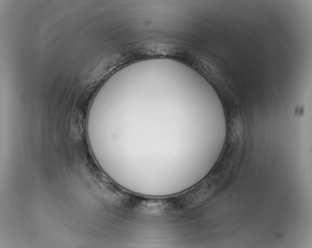 X0000114210414200910231410