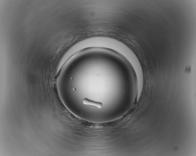 X0000114210419200910231410