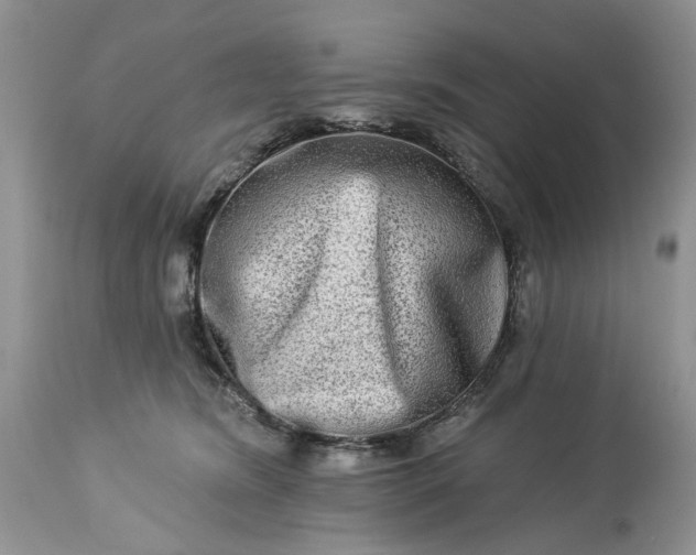 X0000114210420200910231410