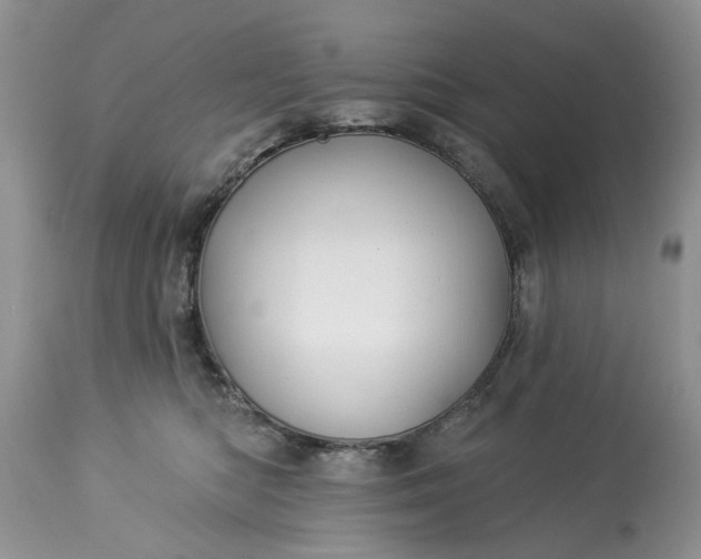 X0000114210422200910231410