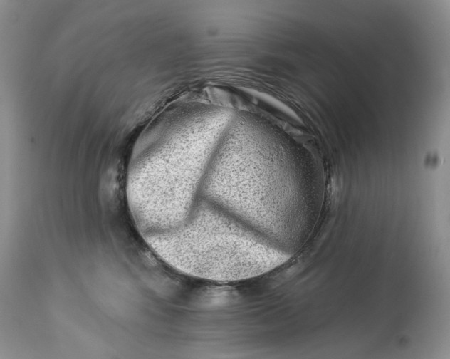 X0000114210424200910231410