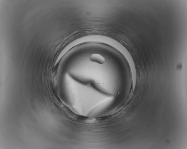 X0000114210425200910231410