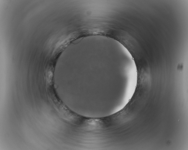 X0000114210427200910231410