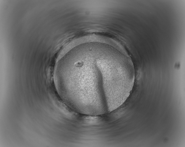 X0000114210428200910231410