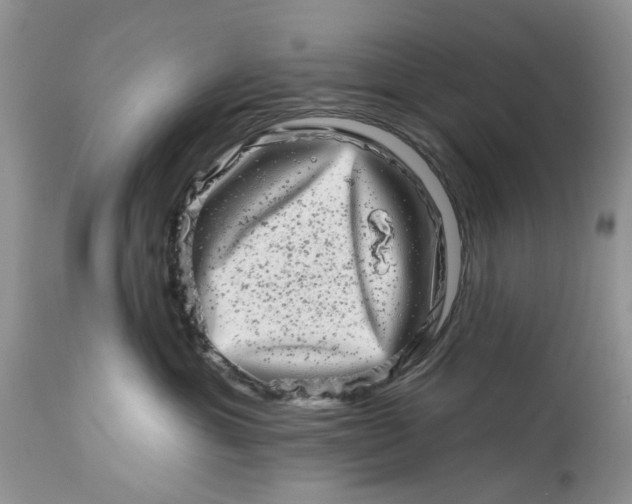 X0000114210429200910231410