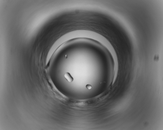 X0000114210431200910231410