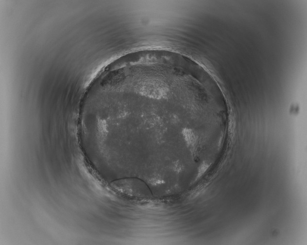 X0000114210434200910231410