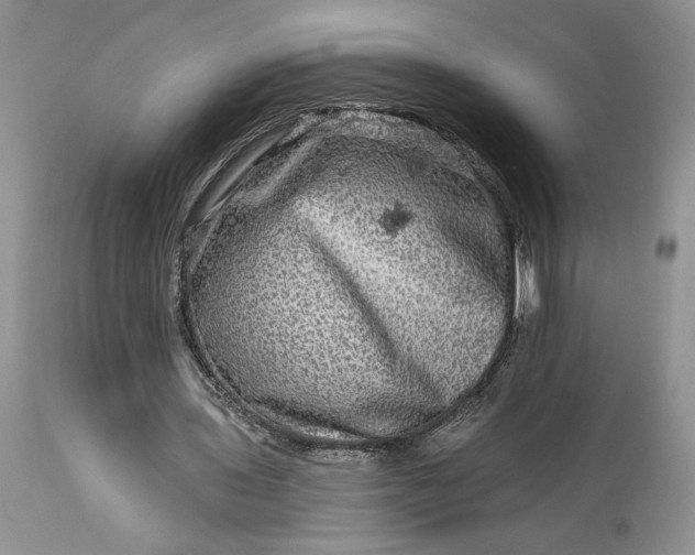 X0000114210435200910231410