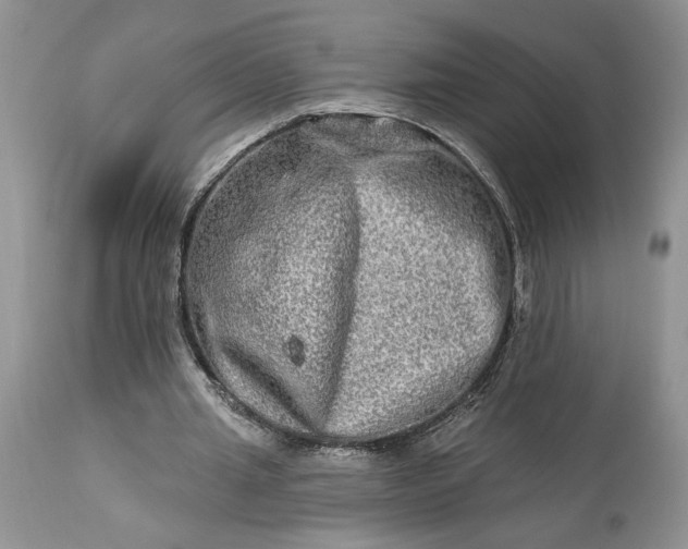 X0000114210437200910231410