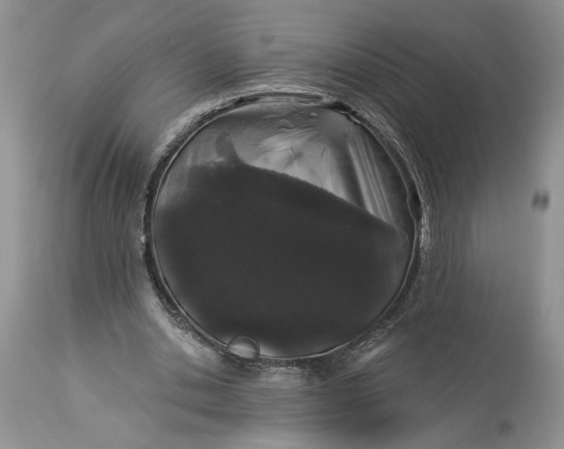 X0000114210438200910231410