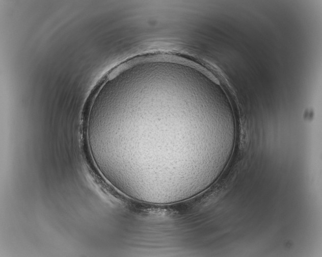 X0000114210439200910231410