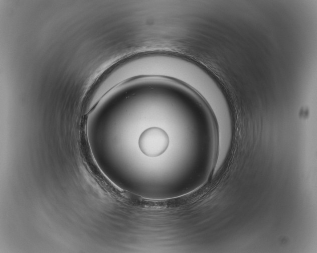 X0000114210440200910231410