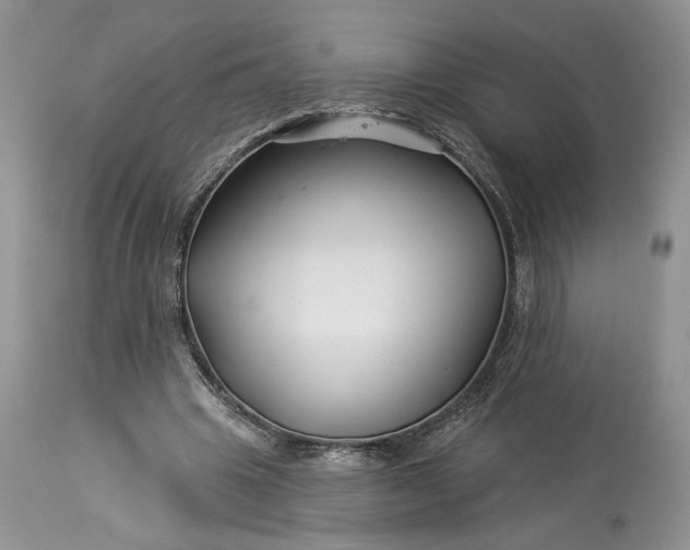 X0000114210441200910231410