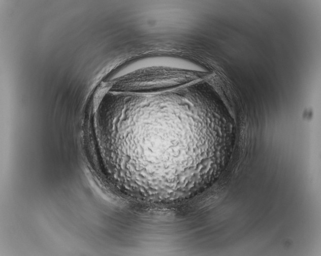 X0000114210443200910231410