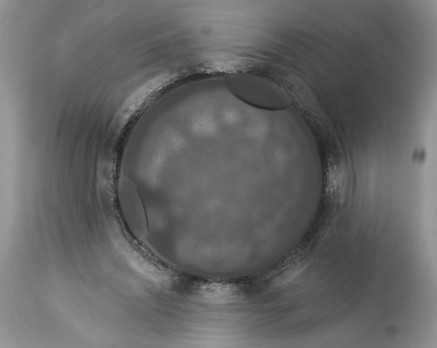 X0000114210444200910231410