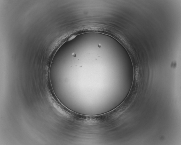 X0000114210445200910231410