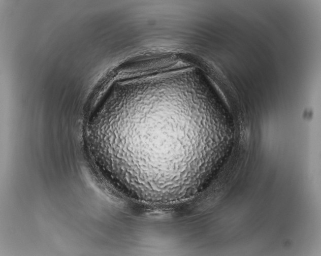 X0000114210447200910231410