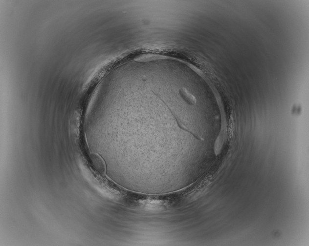 X0000114210448200910231410