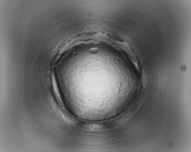 X0000114210449200910231410