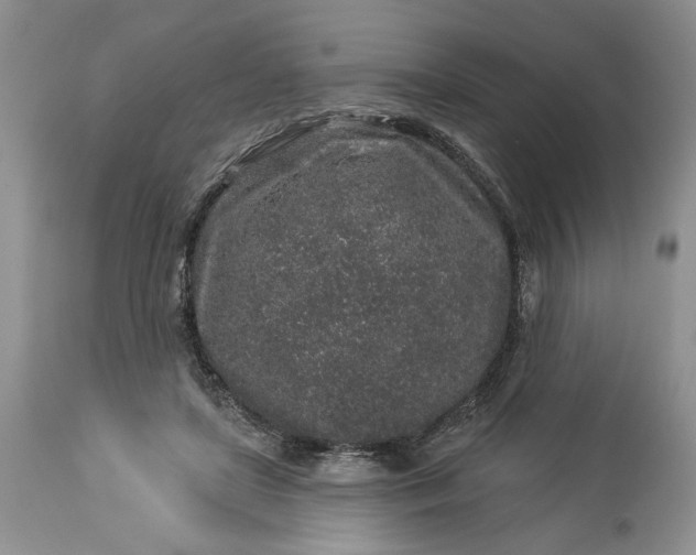 X0000114210451200910231410