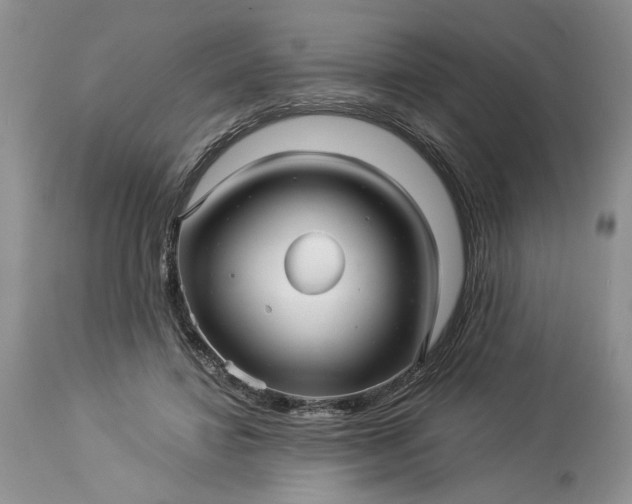 X0000114210452200910231410