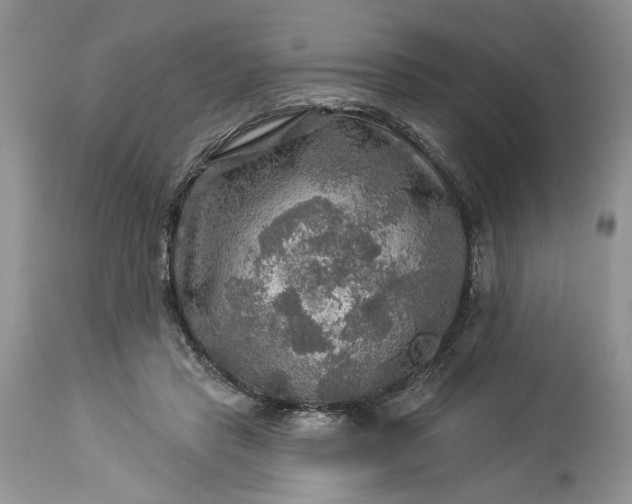 X0000114210453200910231410