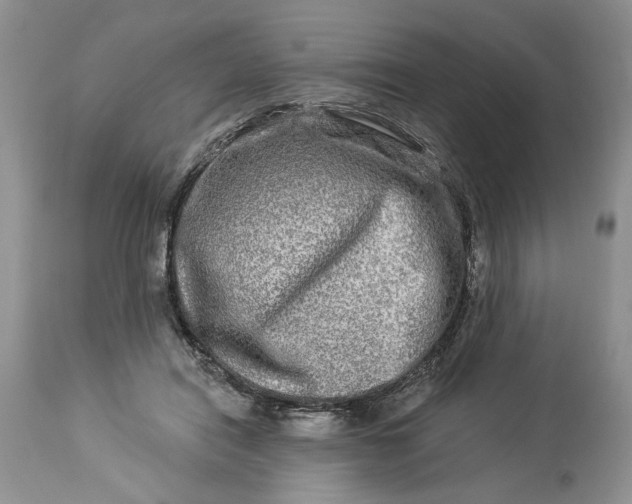 X0000114210454200910231410