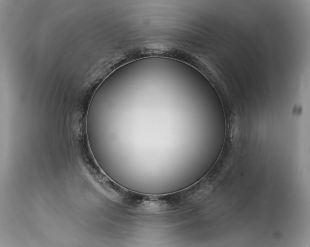 X0000114210455200910231410