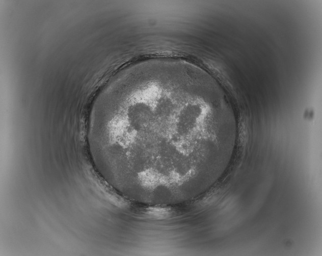 X0000114210457200910231410