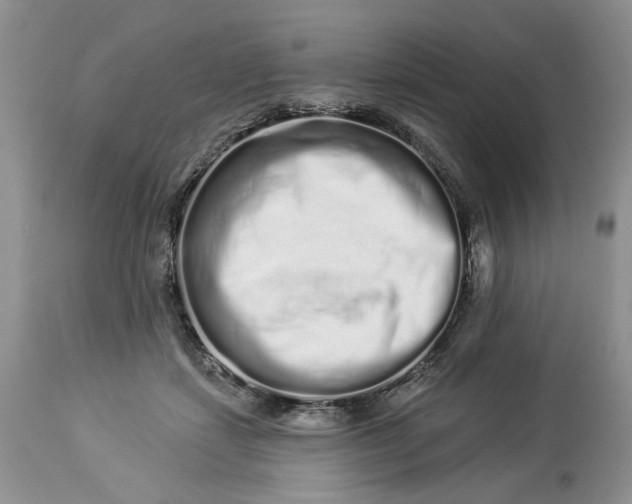 X0000114210459200910231410