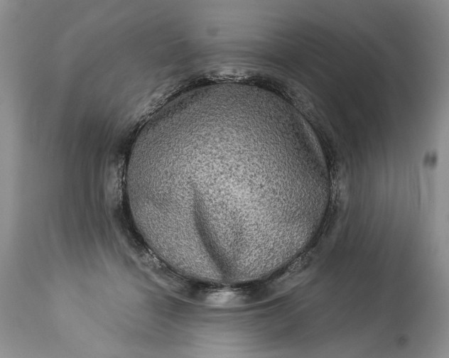 X0000114210460200910231410