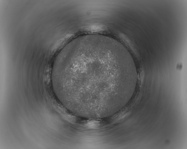 X0000114210462200910231410