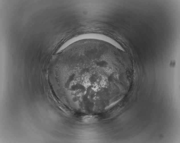 X0000114210465200910231410