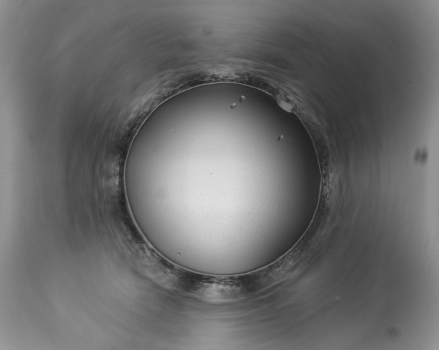 X0000114210466200910231410