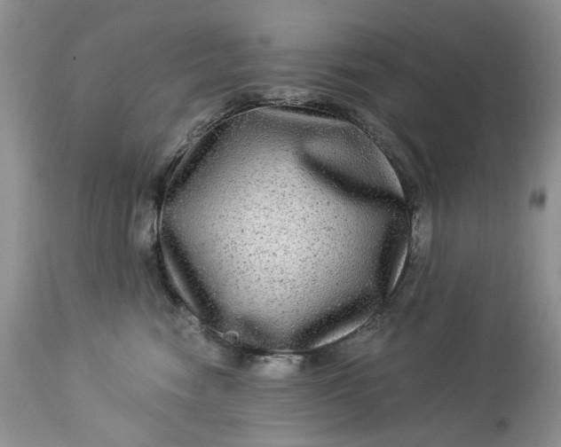 X0000114210474200910231410